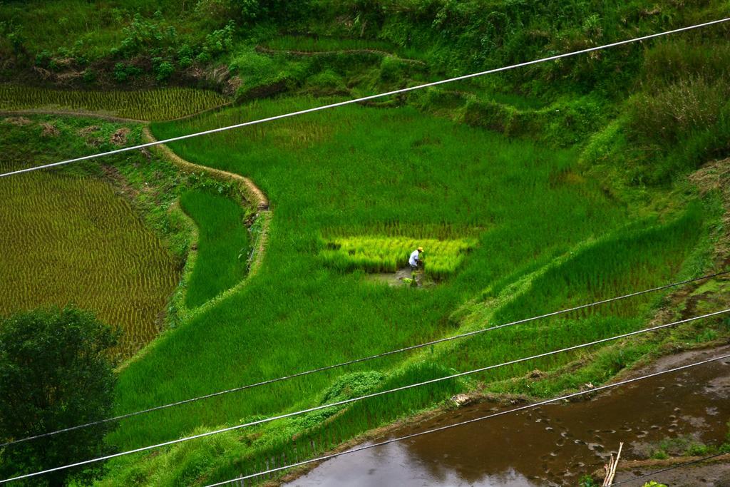 Banaue Greenfields Inn Exterior foto